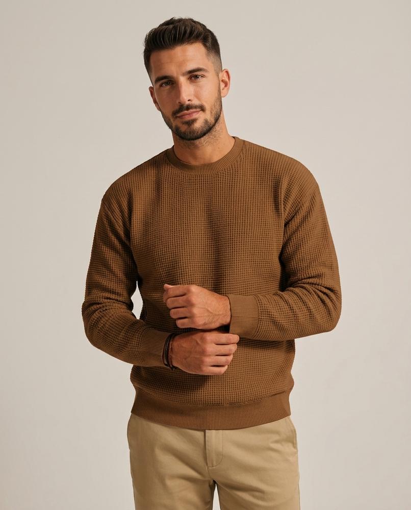 Lands Fashion - Eozir | Waffle-Knit Crewneck Sweater Men