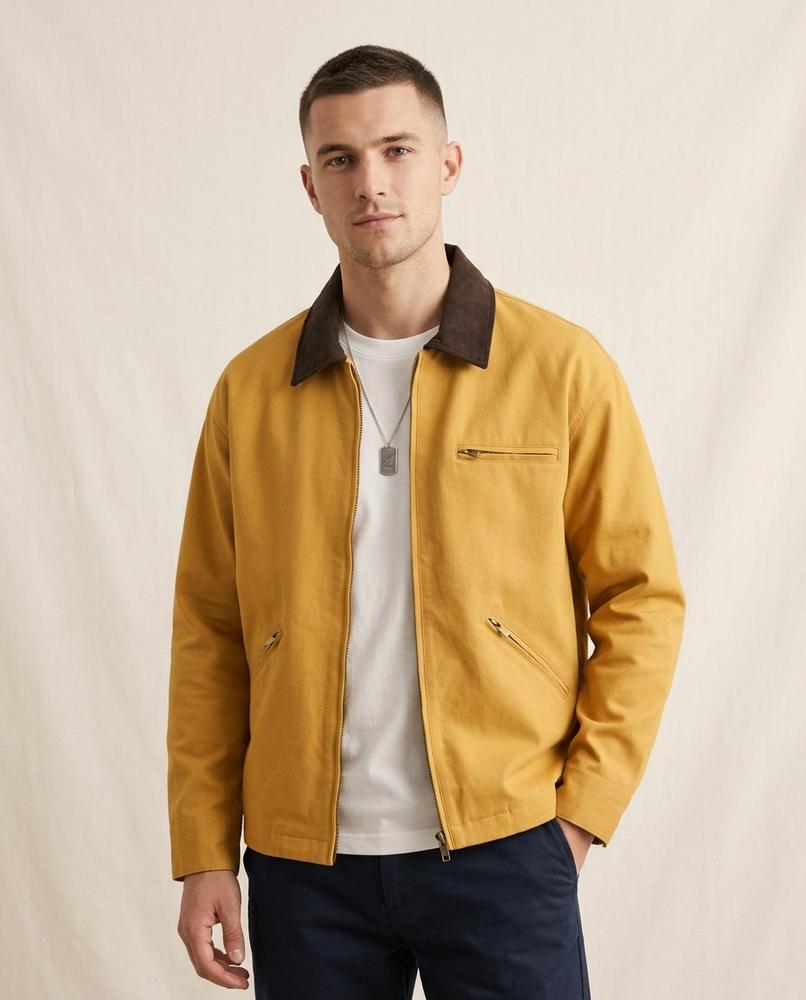 Lands Fashion - Allar | Zip-Up Contrast-Collar Jacket Men